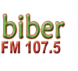 Biber FM